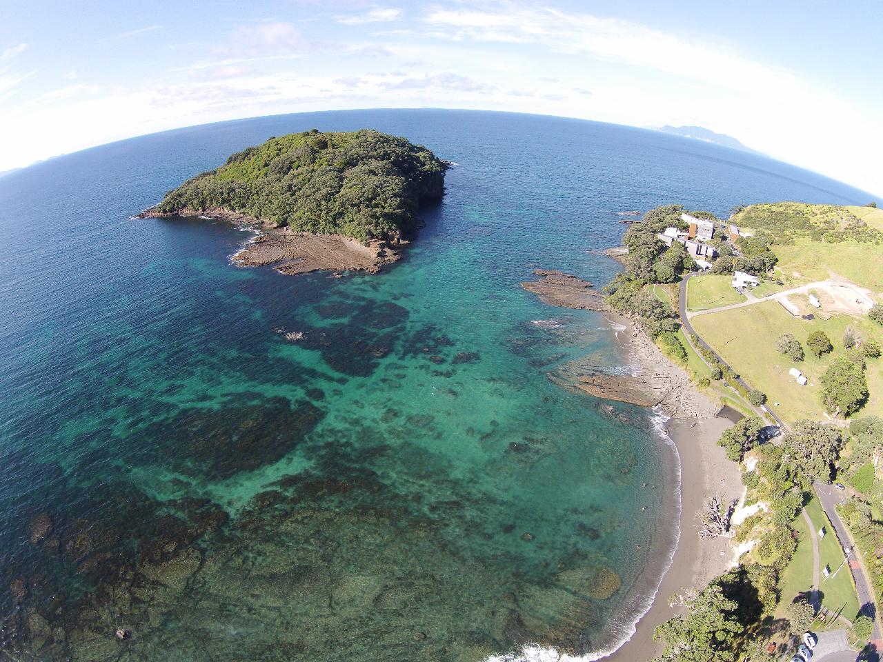 Guided Snorkel Tours Goat Island Marine Reserve Leigh Auckland