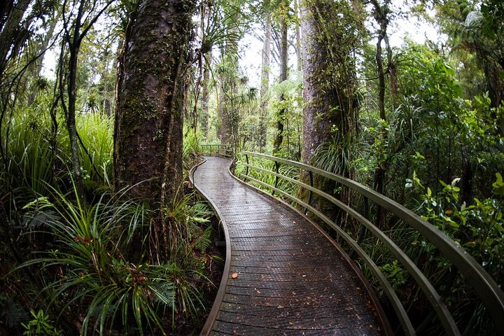 Kawiti Glow Worm Caves