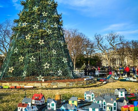 Christmas in the Capital - Private Walking Tour