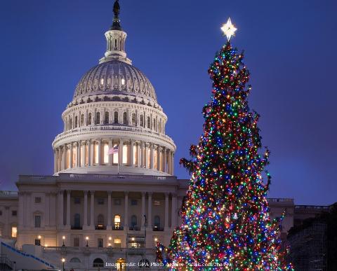 Christmas Lights in the Capital: Private Evening Walking Tour