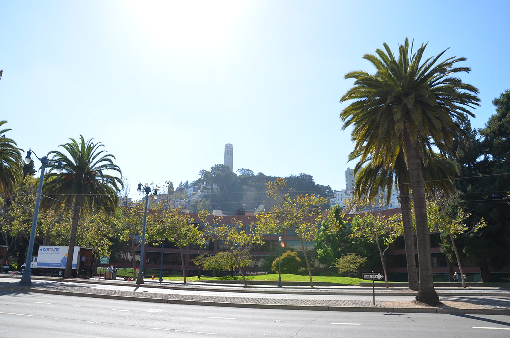 Private Full Day Highlights, with Alcatraz Island photo 4