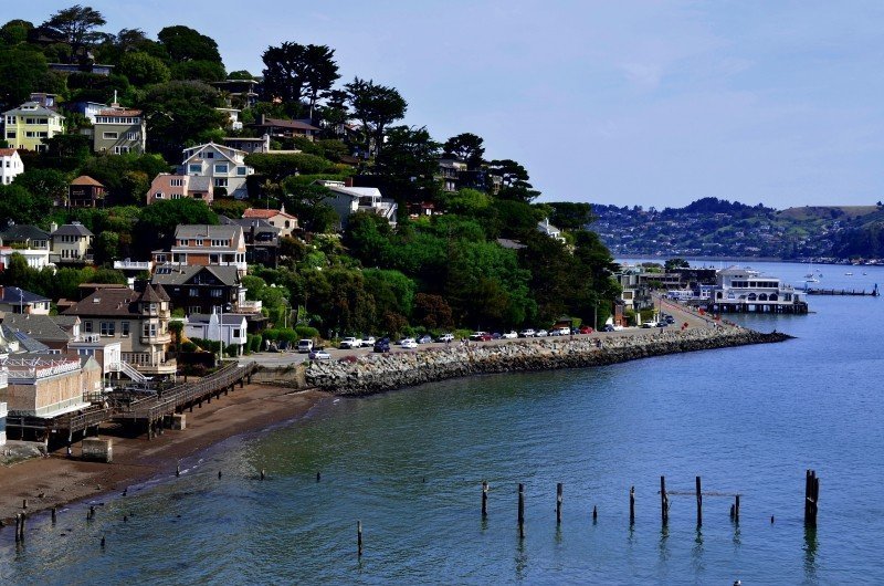 Private Tour of Muir Woods and Sausalito photo 1