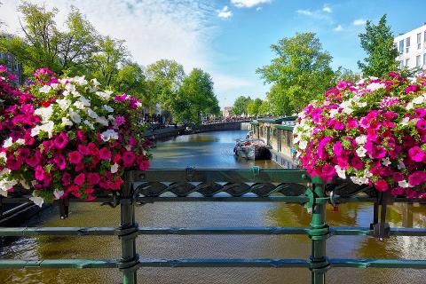 Private Walking Half Day Tour of Amsterdam's Highlights