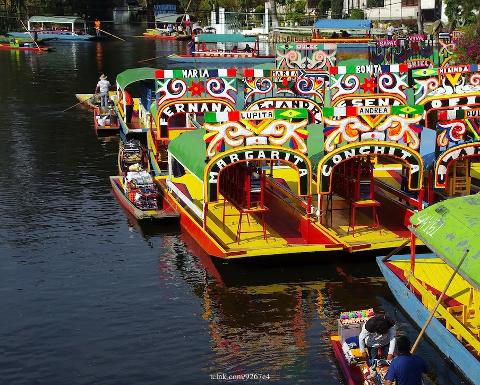 The Art of Frida Kahlo, Xochimilco & Coyoacan: Private Tour