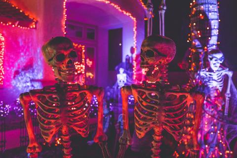 Private Walking Tour of the Dark Side of Amsterdam