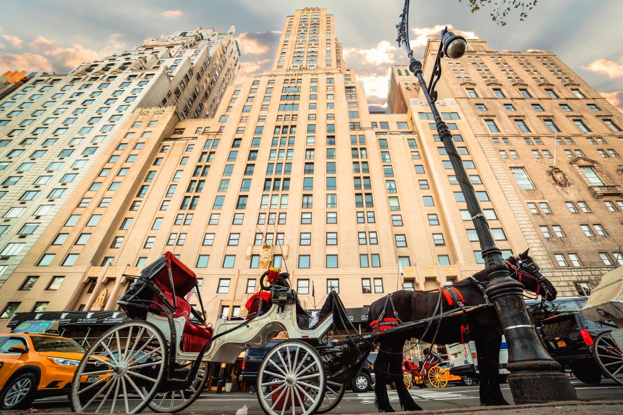 Central Park Horse-Drawn Carriage Tour photo 2