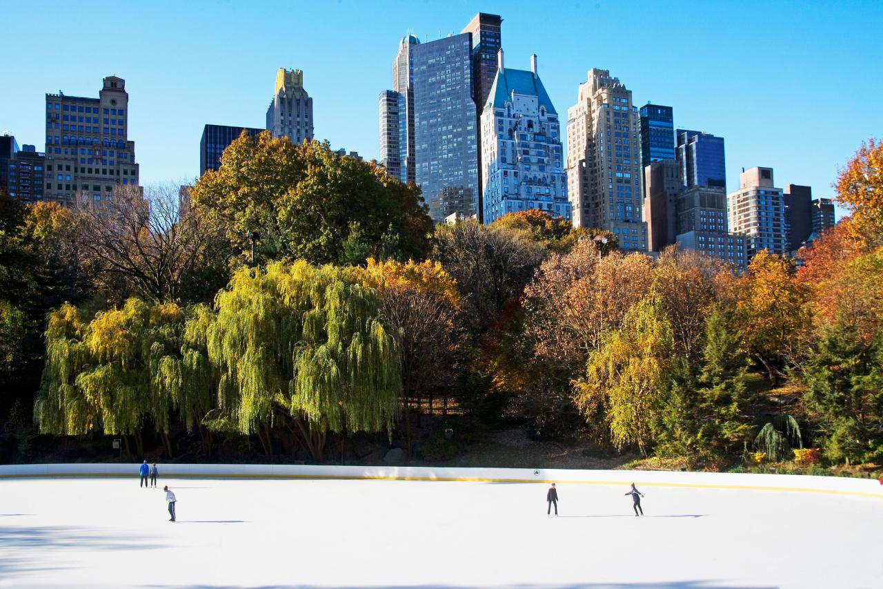 VIP Central Park Skate photo 1