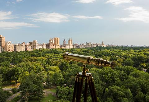 The Perfect Proposal at The Ritz-Carlton New York, Central Park