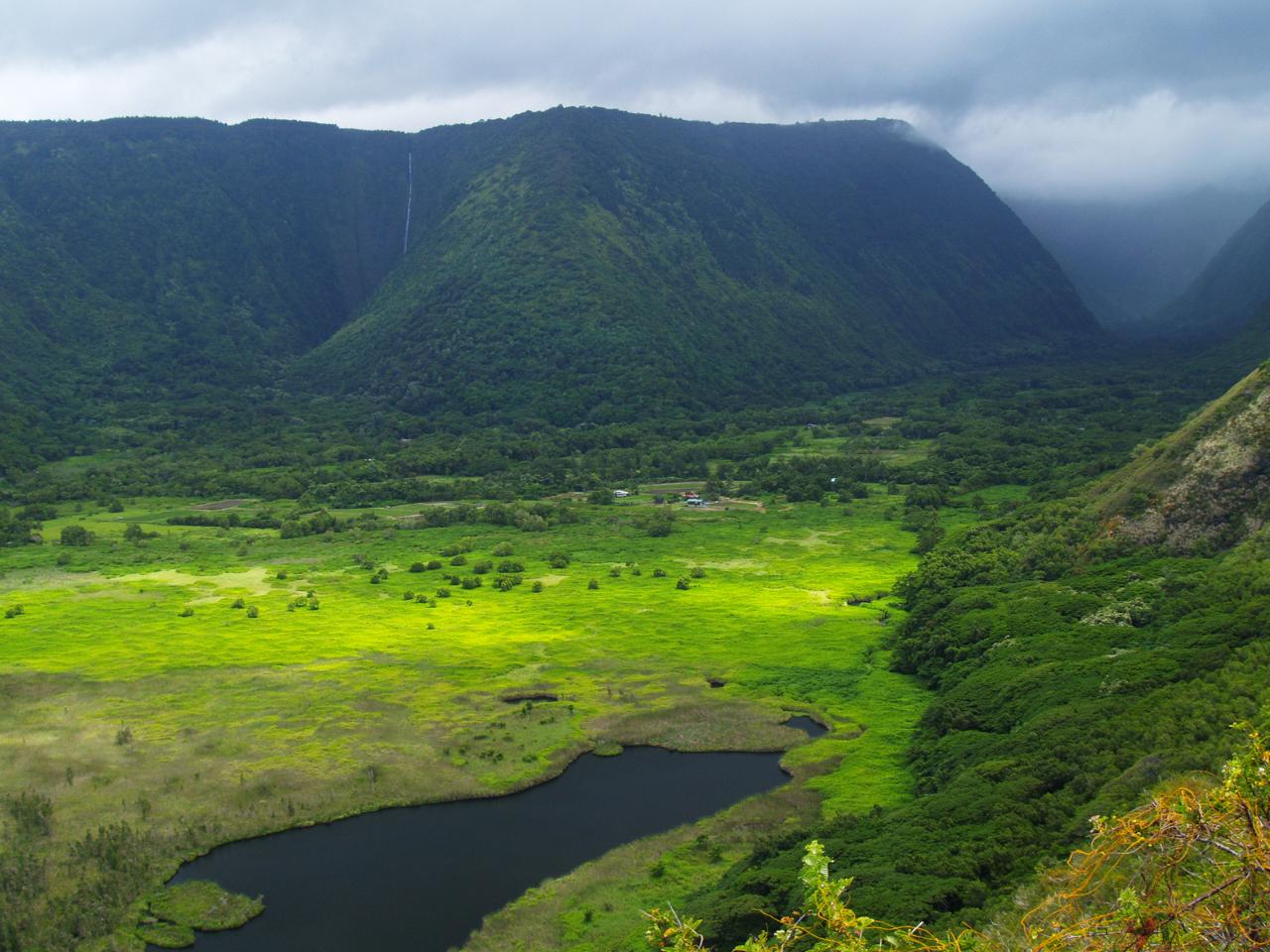 Shaka Guide Big Island North Island Jungle Adventure Loop Gps Audio