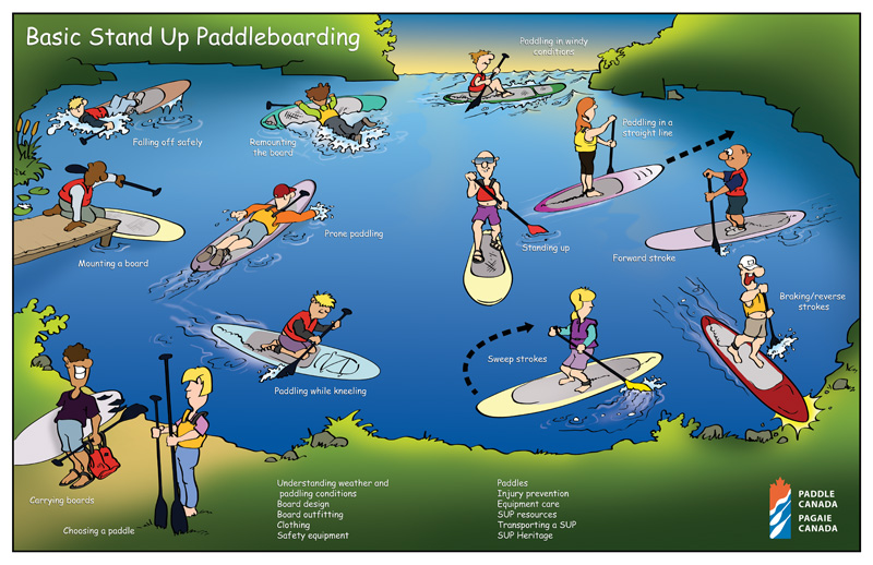 sup 1: stand up paddleboarding: the basics