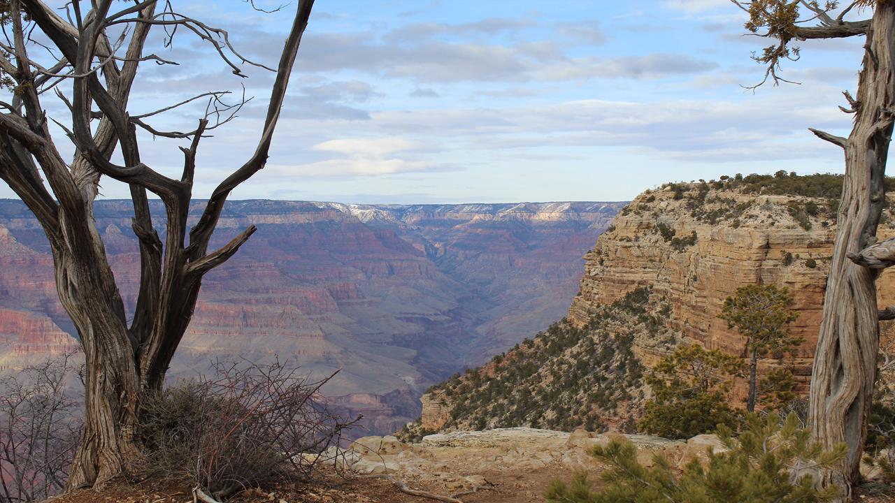 GC - South Rim Bus photo 2
