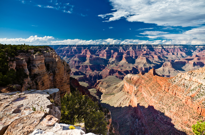 Grand Canyon National Park Luxury Bus Tour With Walking Guide photo 4