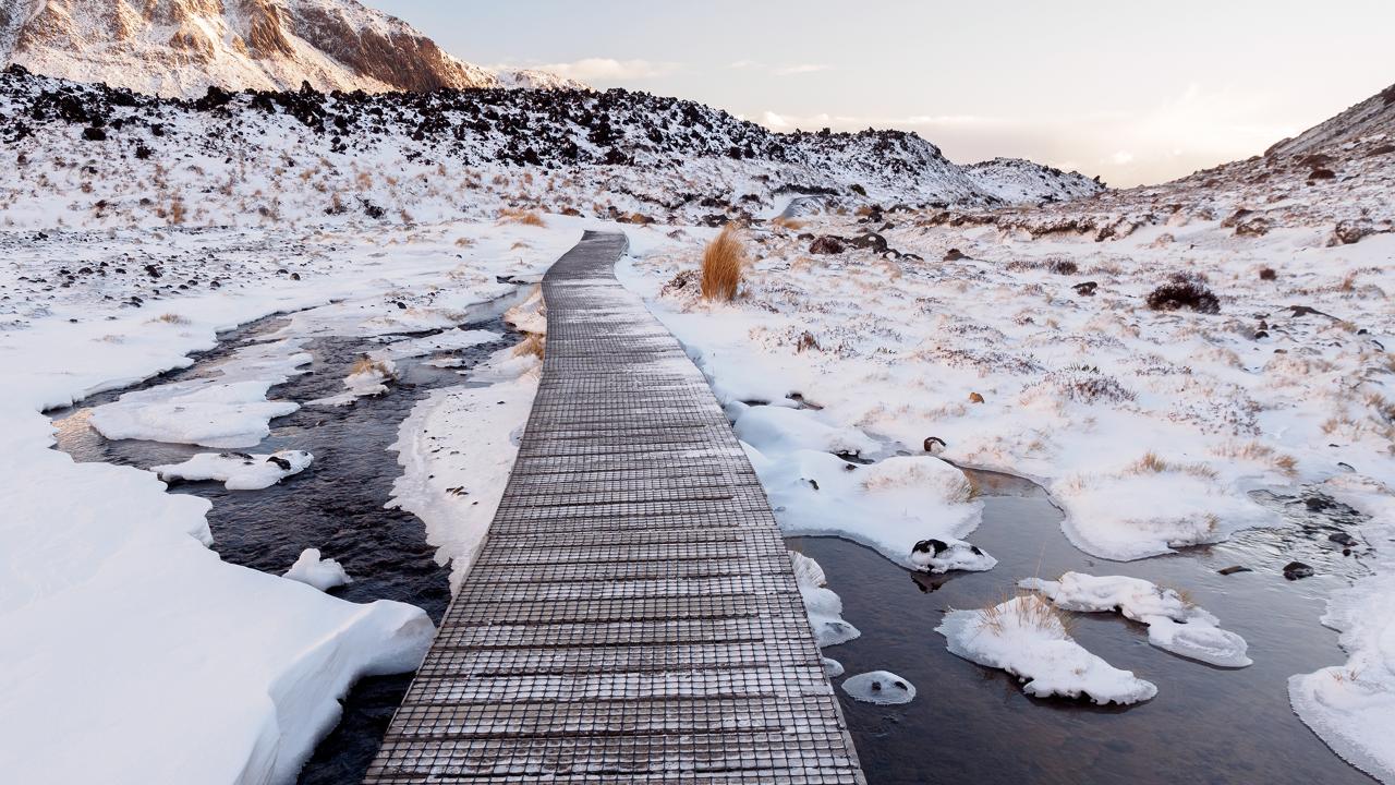 Premium Tongariro Crossing Guided Group Walk Adrift Tongariro