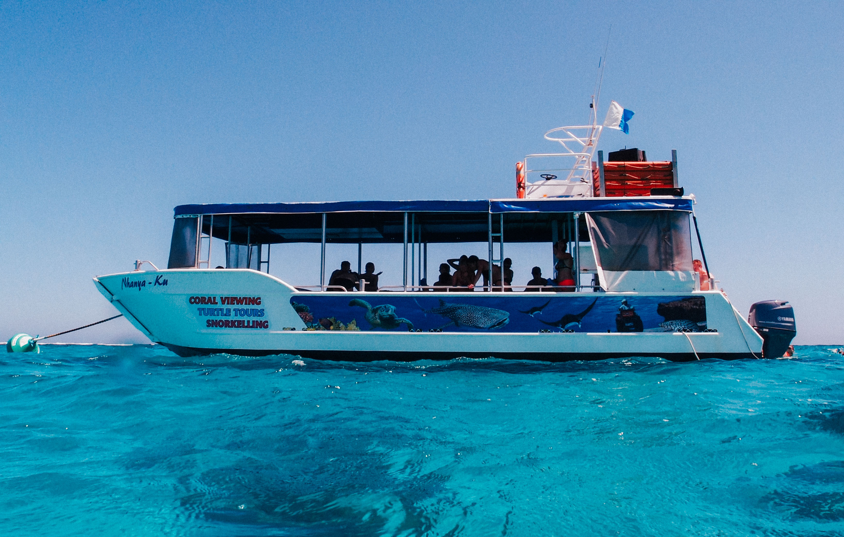 1 hr glass bottom boat tour