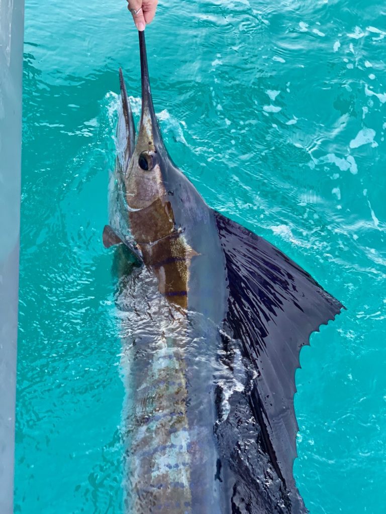private billfish charter