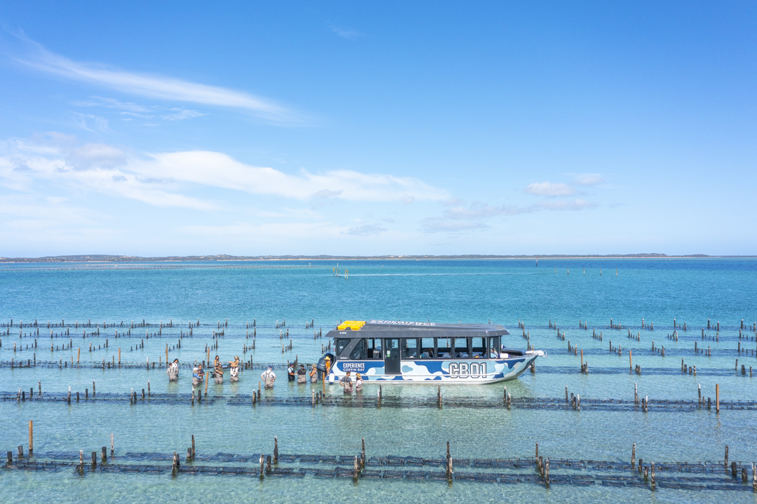 Experience Coffin Bay Oyster Farm And Bay Tour