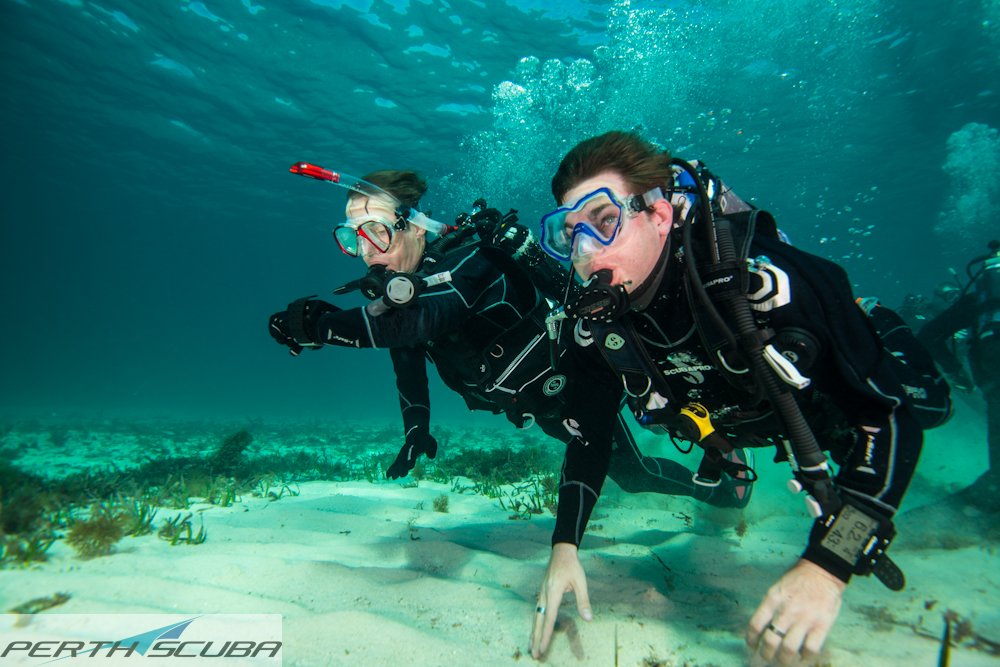 Discover Local Diving in Perth