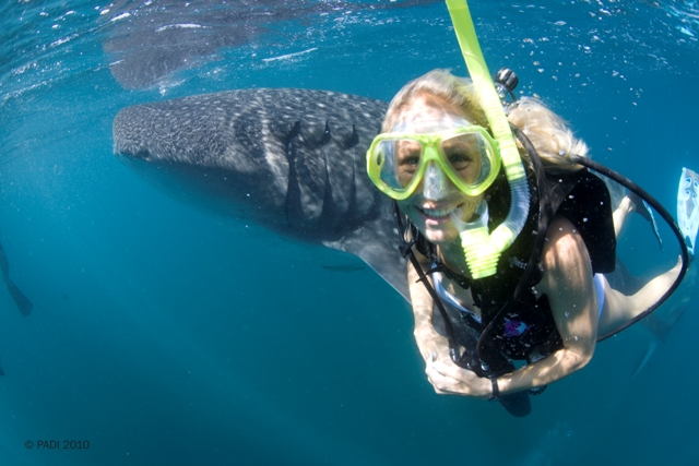 PADI Open Water Dive Course - Learn to Dive