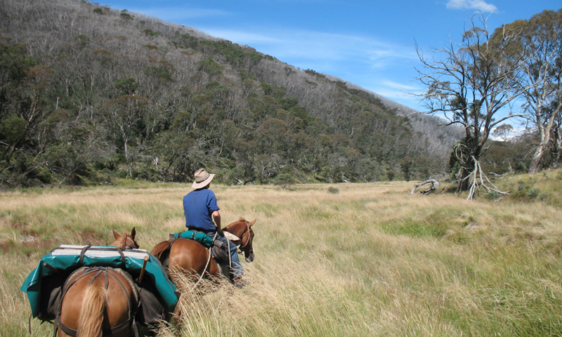 New Years Eve Pack Horse Adventure: 8-day tour