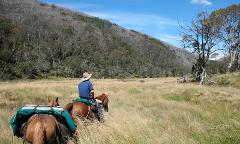 New Years Eve Pack Horse Adventure