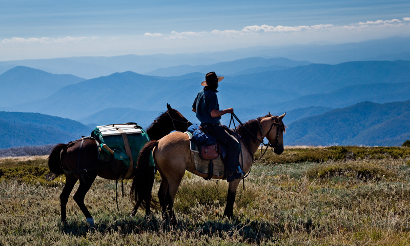 Mount Fainter Brumby Country: 7-day tour