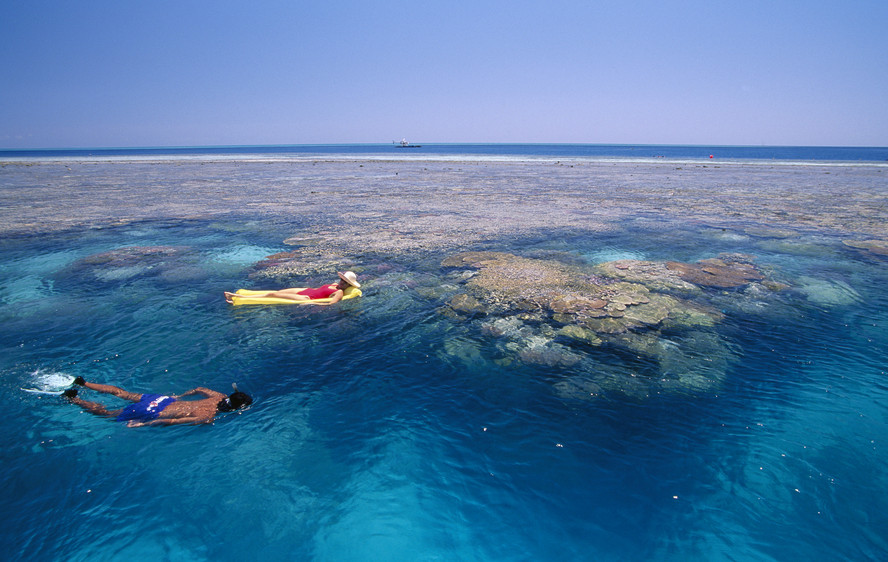 sydney tours to great barrier reef