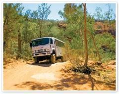 Palm Valley and 4WD Safari