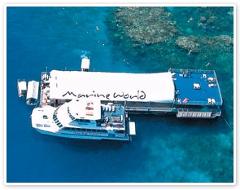 Great Barrier Reef with Reef Magic Cruises