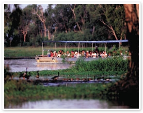 Kakadu National Park Day Tour