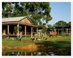 AG/Australian Outback Experience with Sheep Station