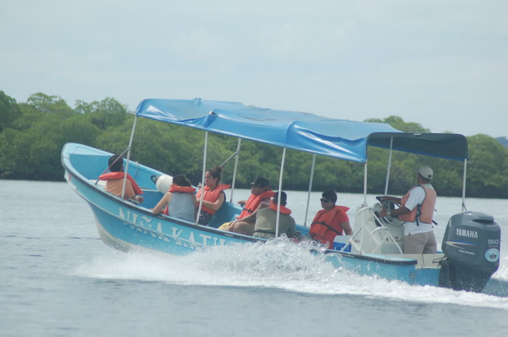 Bocas Boat Tours