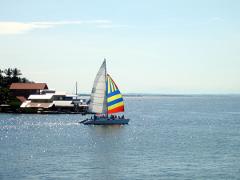Bocas Sailing, Snorkeling and Doplhin Tour