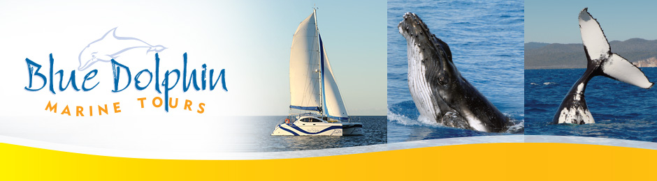 Blue Dolphin Marine Tours Reservations