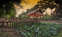 Destination Dining - Private Dining Experience