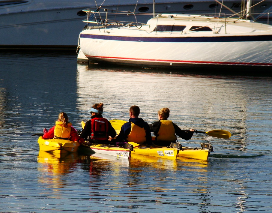 FREE Learn to Kayak Lesson (Introduction to kayaking) Sydney Harbour