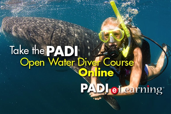 PADI Open Water Diver Certification
