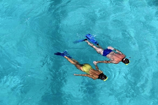 Private Reef Snorkeling Tour Farito