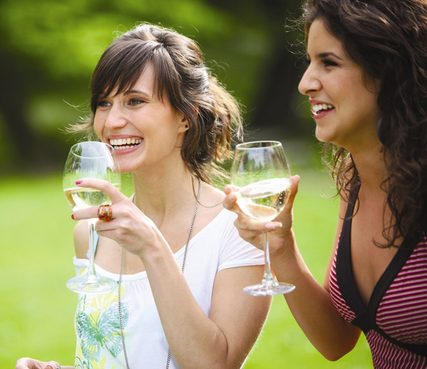 Yarra Valley Wine Tasting Boutique Wineries Tour  - SATURDAYS ONLY
