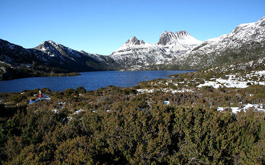 Cradle Mountain Day Tour