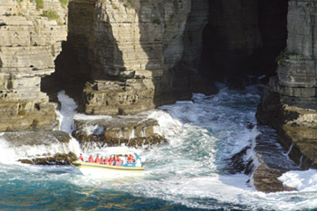 Tasman Island Cruises Full Day Tour from Hobart + Devil Park Tasmania Australia