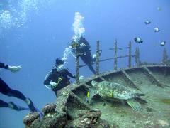 Two Tank Wreck/Reef Boat Dive