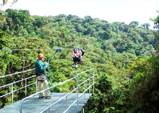 Monteverde  Sky Trek &  Sky Tram Ziplines