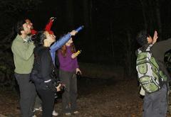 Monteverde Night Walk Tour