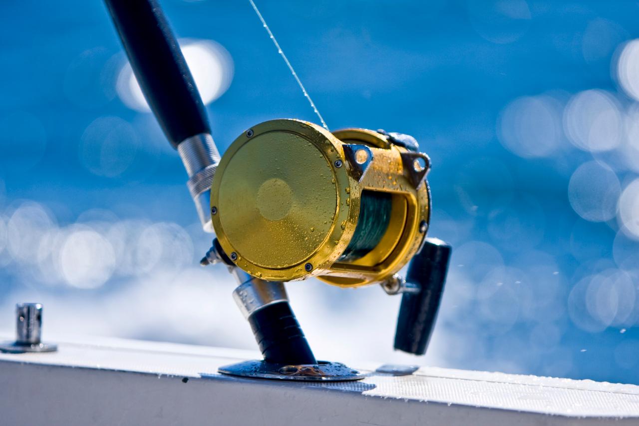 Fishing charters sunshine coast