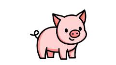 SWIMMING PIGS ENCOUNTER