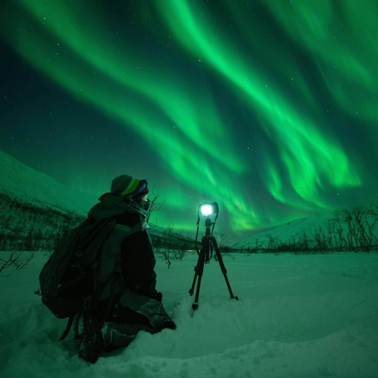 Small Group Aurora Hunt With Citizen Science