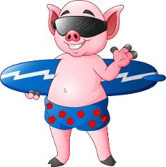 Swimming Pigs Encounter 