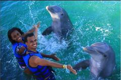 TA Partnership-Dolphin Swim Punta Cana