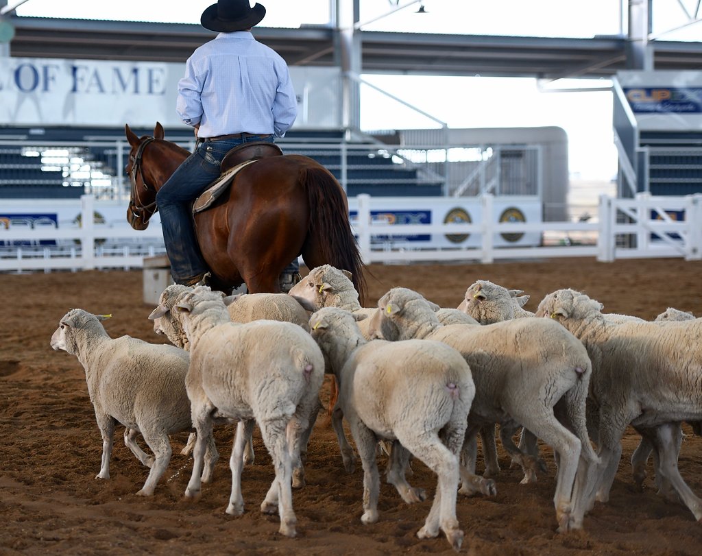 A Stockman's Life - Live Show