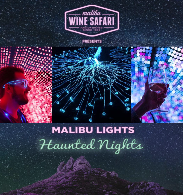 Malibu Lights